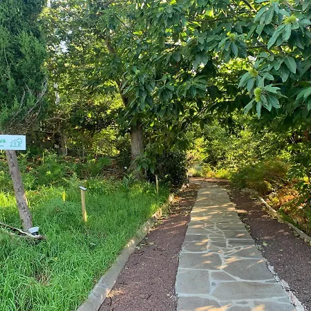 Finca El Roque Tegueste Esterno foto